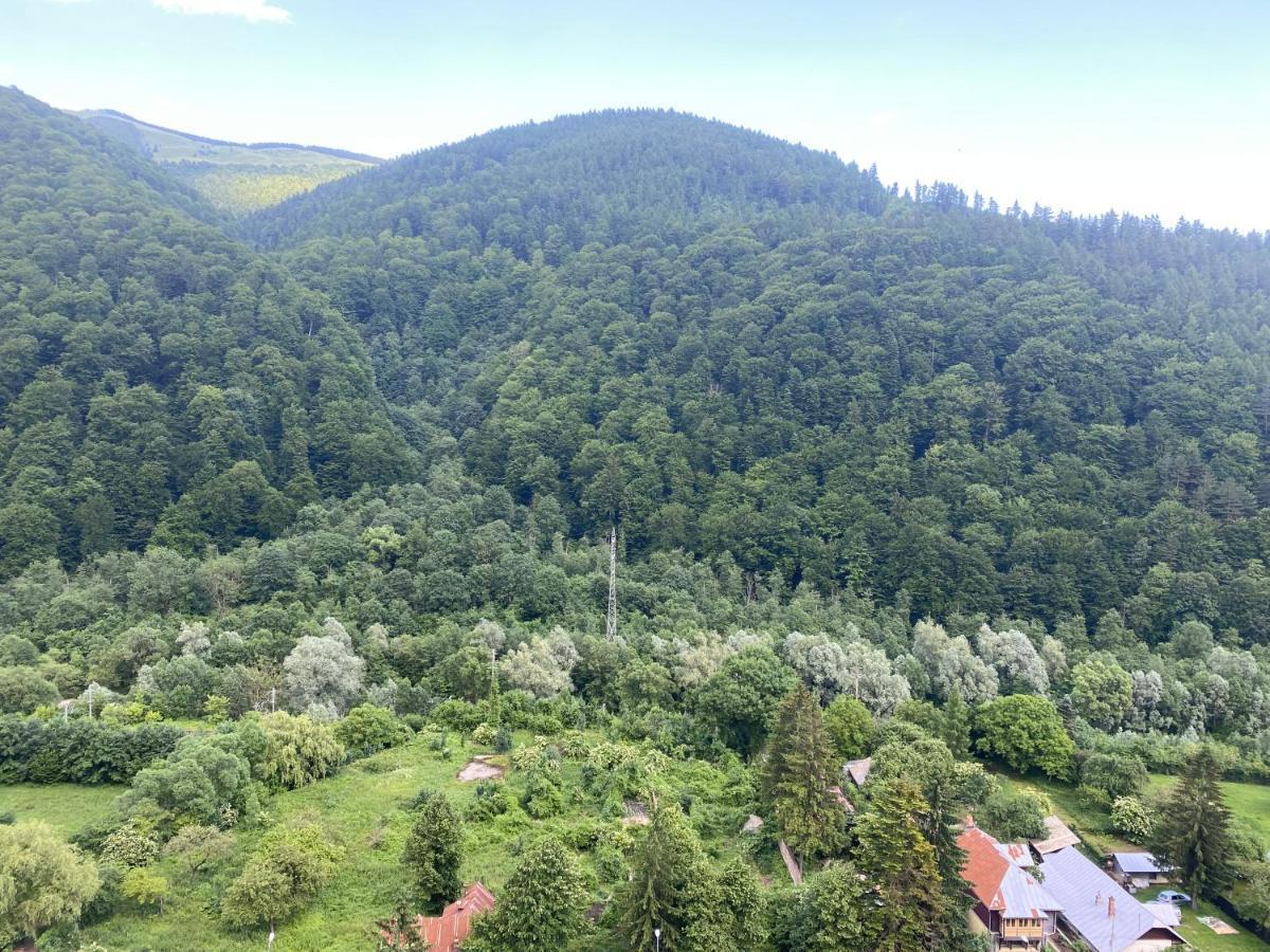 Heidy Sinaia Daire Dış mekan fotoğraf