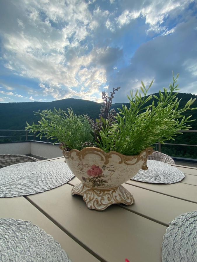 Heidy Sinaia Daire Dış mekan fotoğraf